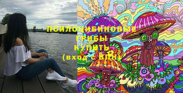 прущие крисы Абинск