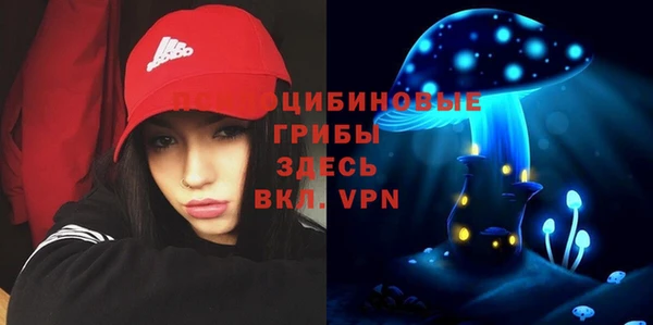 герыч Алзамай