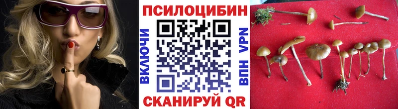 Галлюциногенные грибы GOLDEN TEACHER  гидра ссылка  Железногорск-Илимский 